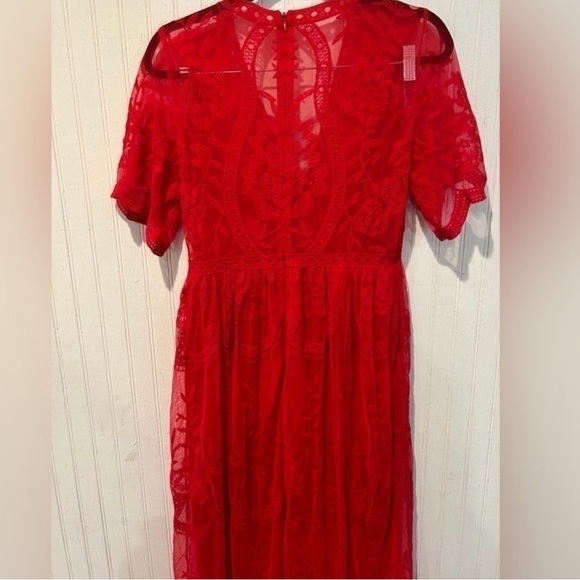 Pinkblush Red Lace Mesh Overlay Maxi Dress - Picture 8 of 10
